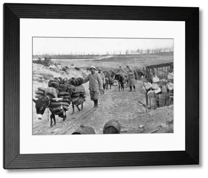 Framed Print : Les Bourriquots de ravitaillement; dans le region de Verdun, les bourriquots, conduits par... 1916 Creator: Unknown Framed Print : Les Bourriquots de ravitaillement; dans le region de Verdun, les bourriquots, conduits par... 1916 Creator: Unknown