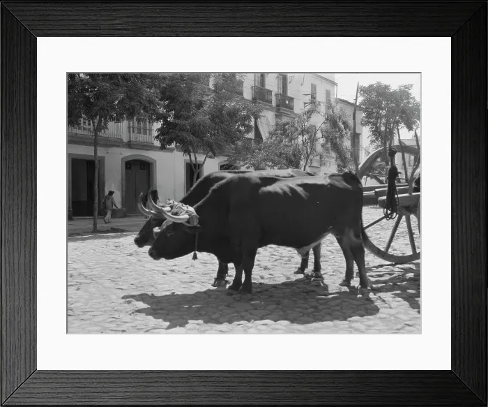 Framed Print : Travel views of Europe, between 1904 and 1938. Creator: Arnold Genthe Framed Print : Travel views of Europe, between 1904 and 1938. Creator: Arnold Genthe