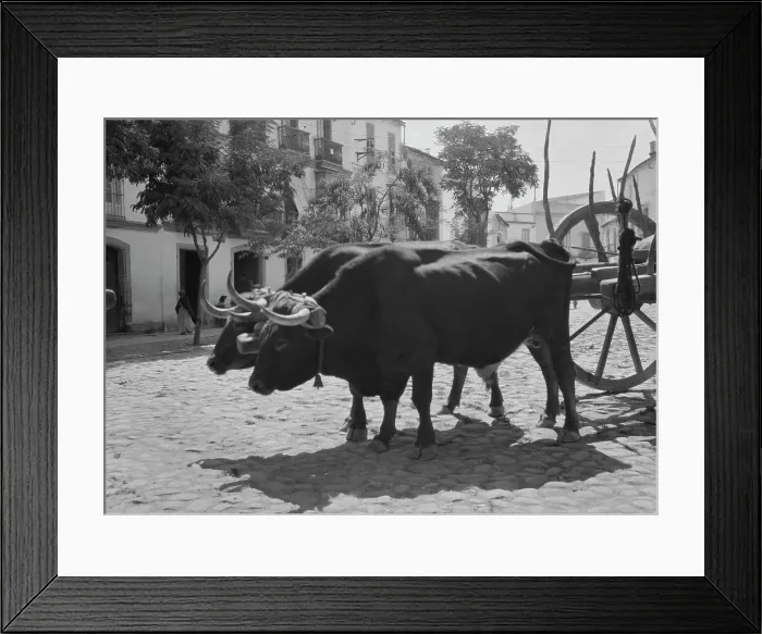 Framed Print : Travel views of Europe, between 1904 and 1938. Creator: Arnold Genthe Framed Print : Travel views of Europe, between 1904 and 1938. Creator: Arnold Genthe