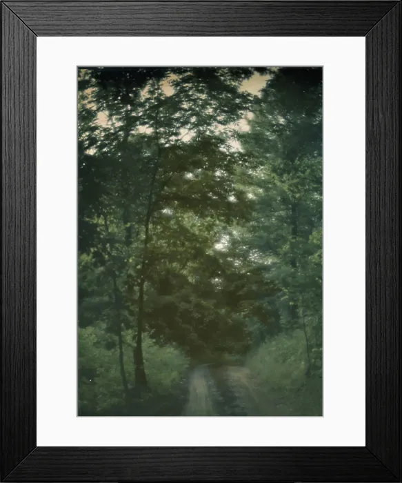 Framed Print : Road through woods, between 1906 and 1942. Creator: Arnold Genthe Framed Print : Road through woods, between 1906 and 1942. Creator: Arnold Genthe