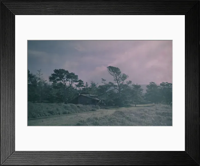 Framed Print : Arnold Genthe's bungalow in Carmel, California, between 1906 and 1911. Creator: Arnold Genthe Framed Print : Arnold Genthe's bungalow in Carmel, California, between 1906 and 1911. Creator: Arnold Genthe