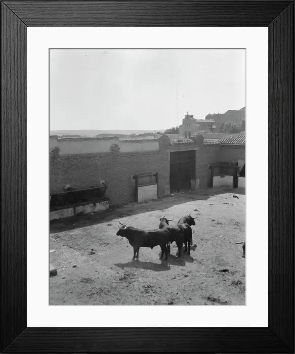 Framed Print : Travel views of Europe, between 1904 and 1938. Creator: Arnold Genthe Framed Print : Travel views of Europe, between 1904 and 1938. Creator: Arnold Genthe