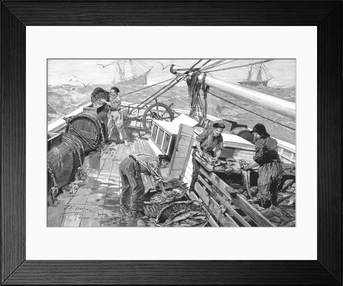 Framed Print : The Newfoundland Cod Fishery; The Parks, or Moveable Enclosures, on Board the Fishing... 1891. Creator: Unknown. The Newfoundland Cod Fishery; The Parks, or Moveable Enclosures, on Board the Fishing... 1891. Creator: Unknown Framed Print : The Newfoundland Cod Fishery; The Parks, or Moveable Enclosures, on Board the Fishing... 1891. Creator: Unknown. The Newfoundland Cod Fishery; The Parks, or Moveable Enclosures, on Board the Fishing... 1891. Creator: Unknown