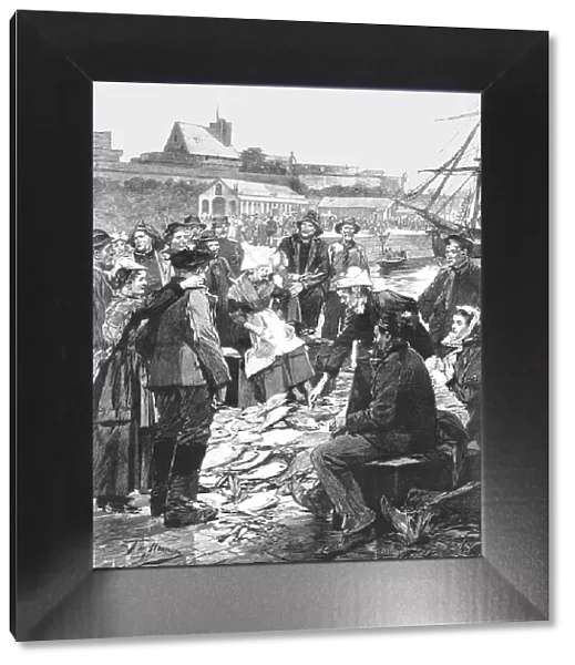 The Newfoundland Cod Fishery; The Distribution of Dried Fish on the Quay at St. Malo... 1891. Creator: Unknown