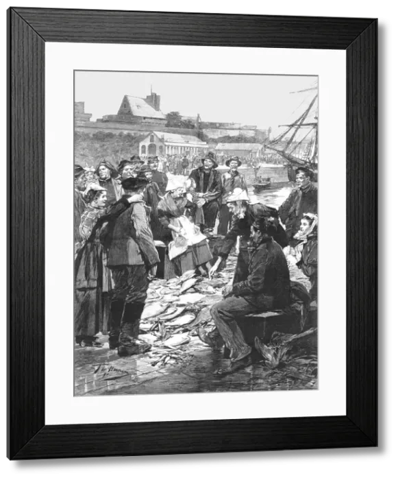 Framed Print : The Newfoundland Cod Fishery; The Distribution of Dried Fish on the Quay at St. Malo... 1891. Creator: Unknown Framed Print : The Newfoundland Cod Fishery; The Distribution of Dried Fish on the Quay at St. Malo... 1891. Creator: Unknown