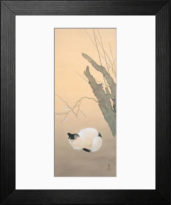 Framed Print : Cat and Plum Blossoms, 1906. Creator: Shunso, Hishida (1874-1911) Framed Print : Cat and Plum Blossoms, 1906. Creator: Shunso, Hishida (1874-1911)