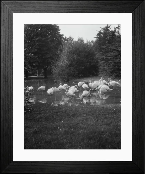 Framed Print : Travel views of Europe, between 1904 and 1938. Creator: Arnold Genthe Framed Print : Travel views of Europe, between 1904 and 1938. Creator: Arnold Genthe
