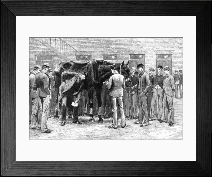Framed Print : The Centenary of the Royal Veterinary College, Camden Town; Free Practice -- Sounding... 1819. Creator: Unknown Framed Print : The Centenary of the Royal Veterinary College, Camden Town; Free Practice -- Sounding... 1819. Creator: Unknown