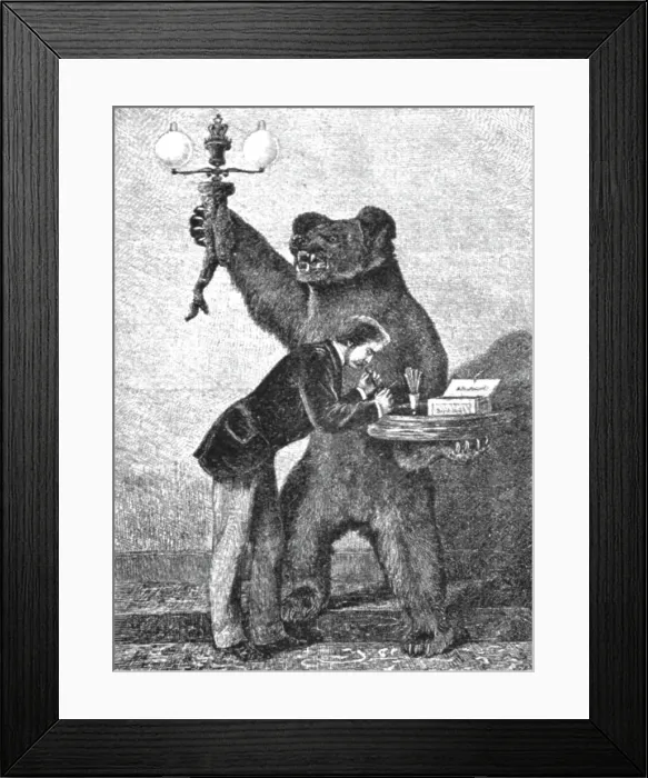 Framed Print : The Bear Trophy at Marlborough House; the Bear was shot in Russia by H.R.H. The Prince... 1891. Creator: Unknown Framed Print : The Bear Trophy at Marlborough House; the Bear was shot in Russia by H.R.H. The Prince... 1891. Creator: Unknown