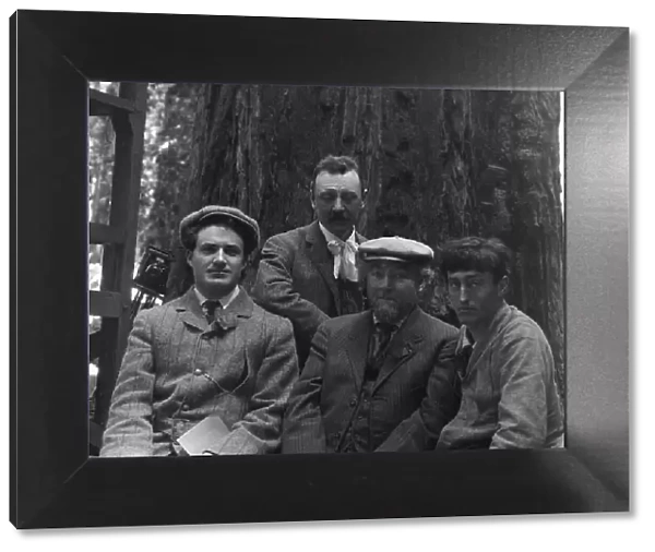 Sterling, George and Herman Scheffauer, with two other men, in front of a redwood, c1906-1911. Creator: Arnold Genthe