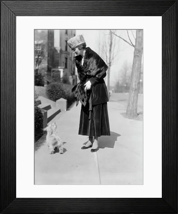 Framed Print : Countess De Lagreze [sic], 1918. Creator: Harris & Ewing. Countess De Lagreze [sic], 1918. Creator: Harris & Ewing