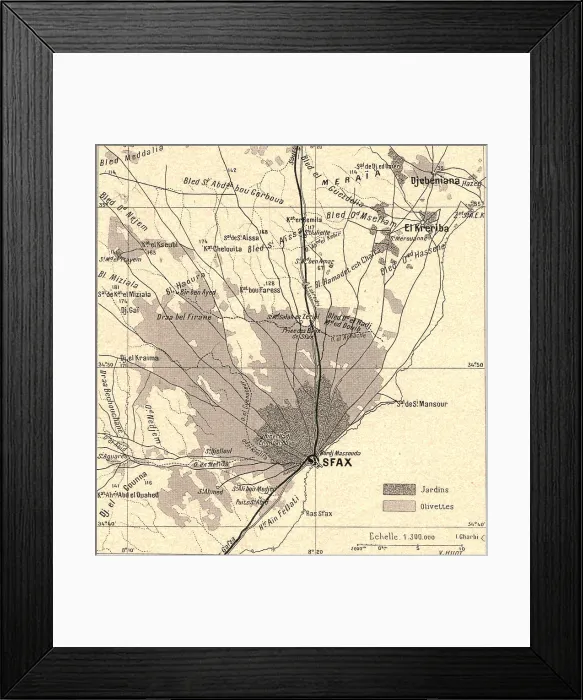 Framed Print : Olivettes de Sfax; Afrique du nord, 1914. Creator: Unknown Framed Print : Olivettes de Sfax; Afrique du nord, 1914. Creator: Unknown