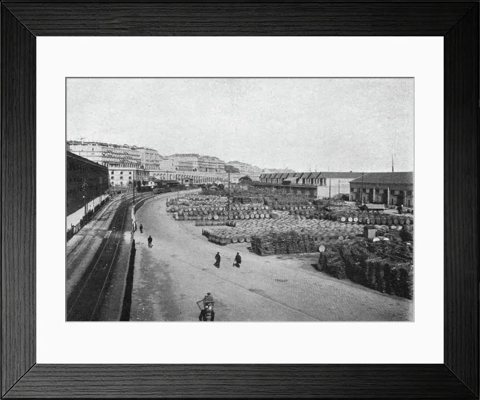 Framed Print : Les quais d'Alger; Afrique du nord, 1914. Creator: Charles Chusseau-Flaviens Framed Print : Les quais d'Alger; Afrique du nord, 1914. Creator: Charles Chusseau-Flaviens