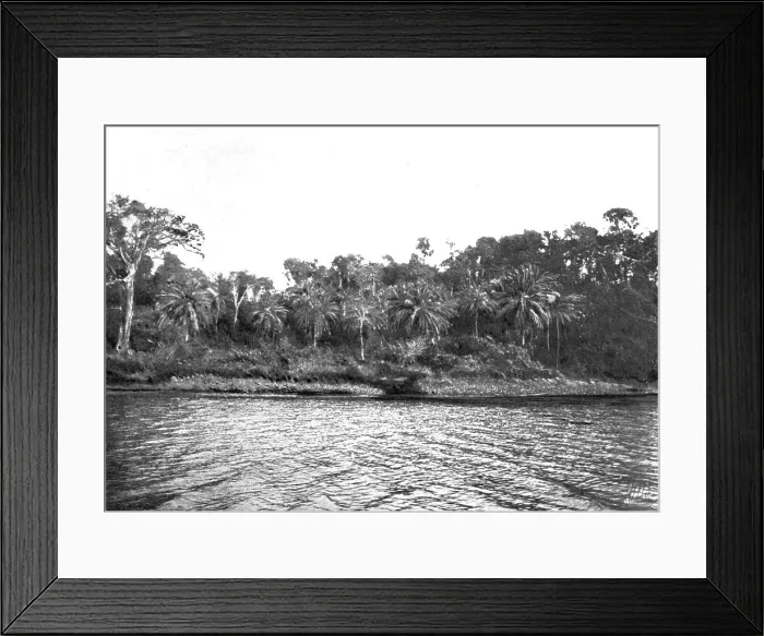 Framed Print : Bords du Comoe; L'Ouest Africain, 1914. Creator: Unknown Framed Print : Bords du Comoe; L'Ouest Africain, 1914. Creator: Unknown