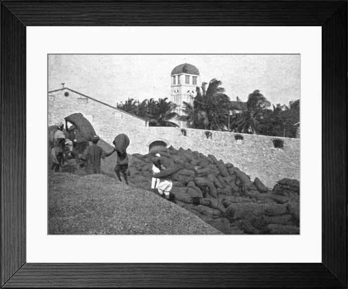 Framed Print : Rufisque. La manutention des arachides; L'Ouest Africain, 1914. Creator: Unknown Framed Print : Rufisque. La manutention des arachides; L'Ouest Africain, 1914. Creator: Unknown