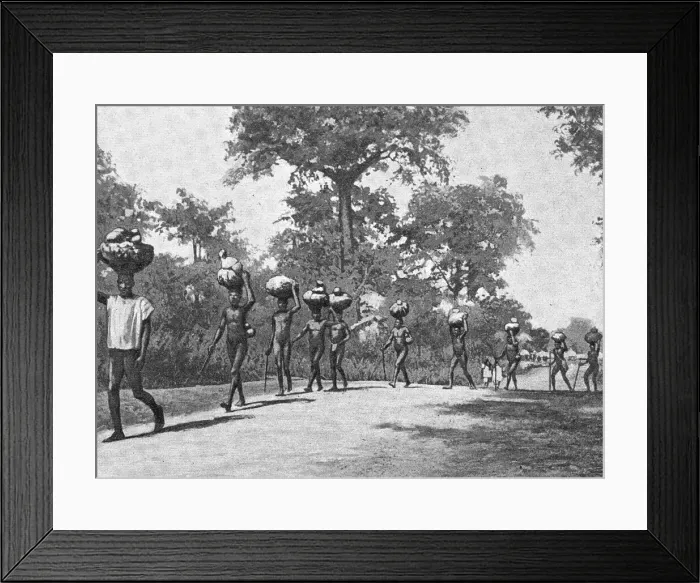 Framed Print : Caravane de porteurs Senoufos; L'Ouest Africain, 1914. Creator: Unknown Framed Print : Caravane de porteurs Senoufos; L'Ouest Africain, 1914. Creator: Unknown