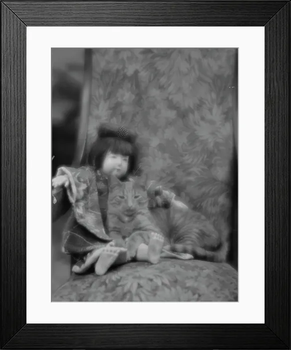 Framed Print : Buzzer the cat, portrait photograph, ca. 1912. Creator: Arnold Genthe Framed Print : Buzzer the cat, portrait photograph, ca. 1912. Creator: Arnold Genthe