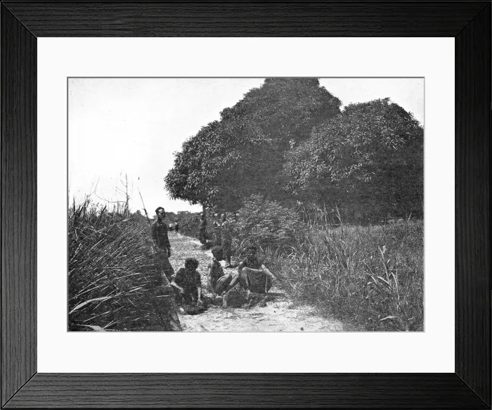 Framed Print : La taille d'un sentier dans les forets du Congo Belge; L'Ouest Africain, 1914. Creator: Unknown