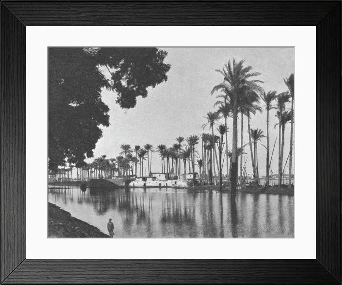 Framed Print : Abords de l'avenue de Gezireh pendant la crue du Nil; Le Nord-Est Africain, 1914. Creator: Unknown Framed Print : Abords de l'avenue de Gezireh pendant la crue du Nil; Le Nord-Est Africain, 1914. Creator: Unknown