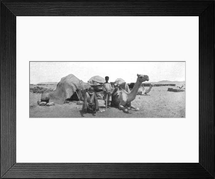 Framed Print : Types de Bicharins; Le Nord-Est Africain, 1914. Creator: Unknown Framed Print : Types de Bicharins; Le Nord-Est Africain, 1914. Creator: Unknown