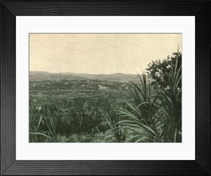 Framed Print : Kampala; Le Nord-Est Africain, 1914. Creator: Unknown Framed Print : Kampala; Le Nord-Est Africain, 1914. Creator: Unknown