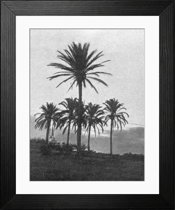 Framed Print : A la lisiere du desert en Tripolitaine; Le Nord-Est Africain, 1914. Creator: Unknown Framed Print : A la lisiere du desert en Tripolitaine; Le Nord-Est Africain, 1914. Creator: Unknown