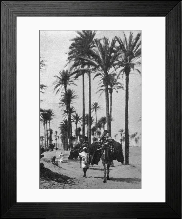 Framed Print : Types d'Arabes de la Tripolitaine; Le Nord-Est Africain, 1914. Creator: Unknown Framed Print : Types d'Arabes de la Tripolitaine; Le Nord-Est Africain, 1914. Creator: Unknown
