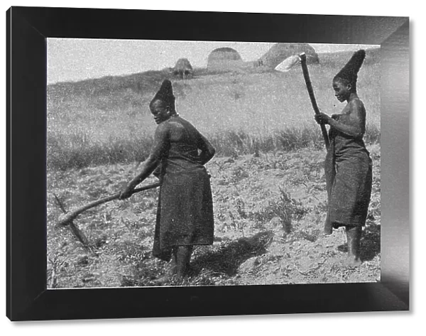 Femmes zouloues aux champs; Afrique Australe, 1914. Creator: Unknown