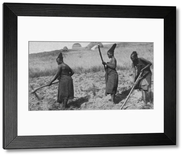 Framed Print : Femmes zouloues aux champs; Afrique Australe, 1914. Creator: Unknown Framed Print : Femmes zouloues aux champs; Afrique Australe, 1914. Creator: Unknown