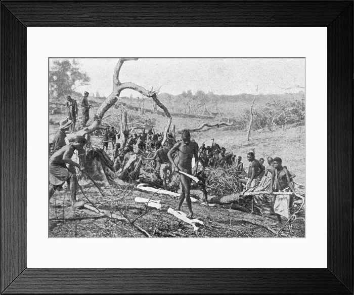 Framed Print : Indigenes de la Rhodesia defrichant une foret pour l'etablissement d'une plantation de... 1914. Creator: Unknown Framed Print : Indigenes de la Rhodesia defrichant une foret pour l'etablissement d'une plantation de... 1914. Creator: Unknown