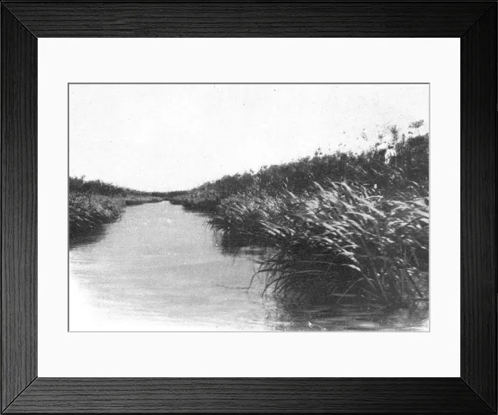 Framed Print : Un coin des bords du lac Bangweulu; Afrique Australe, 1914. Creator: Unknown Framed Print : Un coin des bords du lac Bangweulu; Afrique Australe, 1914. Creator: Unknown