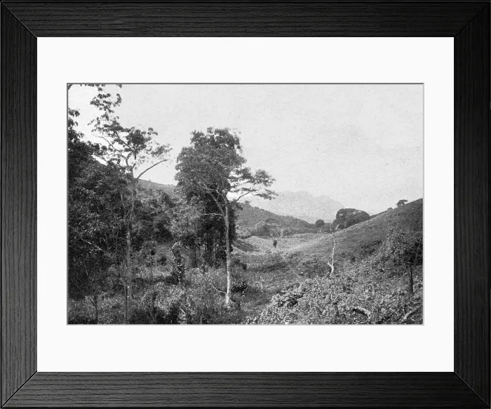 Framed Print : Dans les montagnes de l'Usambara; Afrique Australe, 1914. Creator: Unknown