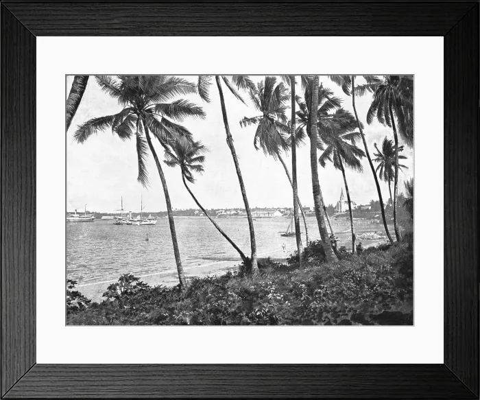 Framed Print : Panorama de Daressalam; Afrique Australe, 1914. Creator: Unknown Framed Print : Panorama de Daressalam; Afrique Australe, 1914. Creator: Unknown