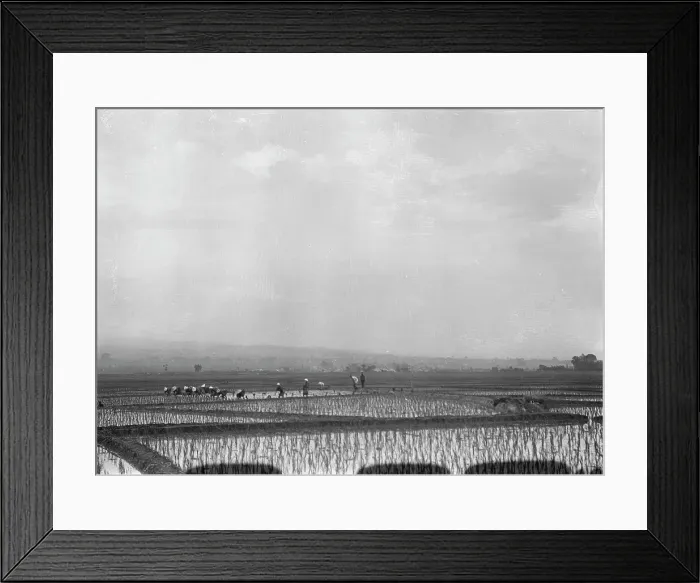 Framed Print : Travel views of Japan and Korea, 1908. Creator: Arnold Genthe Framed Print : Travel views of Japan and Korea, 1908. Creator: Arnold Genthe
