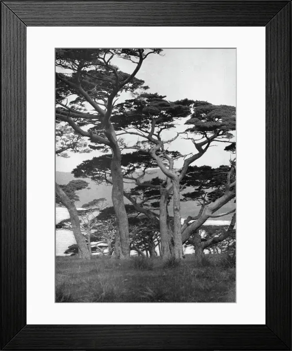 Framed Print : Travel views of Japan and Korea, 1908. Creator: Arnold Genthe Framed Print : Travel views of Japan and Korea, 1908. Creator: Arnold Genthe