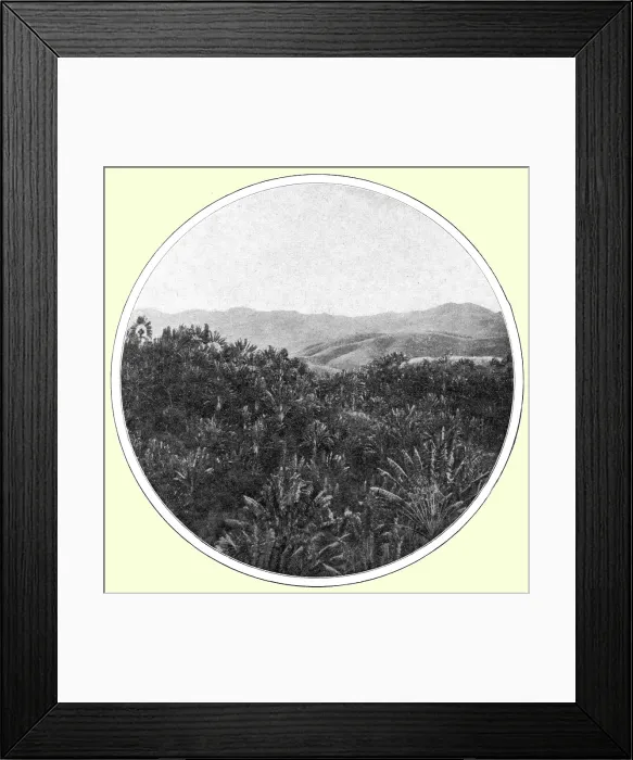 Framed Print : La region des a Madagascar; Iles Africaines de la mer des Indes, 1914. Creator: Unknown. La region des a Madagascar; Iles Africaines de la mer des Indes, 1914. Creator: Unknown Framed Print : La region des a Madagascar; Iles Africaines de la mer des Indes, 1914. Creator: Unknown. La region des a Madagascar; Iles Africaines de la mer des Indes, 1914. Creator: Unknown