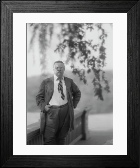 Framed Print : Roosevelt, Theodore, portrait photograph, 1916 Sept. 8. Creator: Arnold Genthe Framed Print : Roosevelt, Theodore, portrait photograph, 1916 Sept. 8. Creator: Arnold Genthe