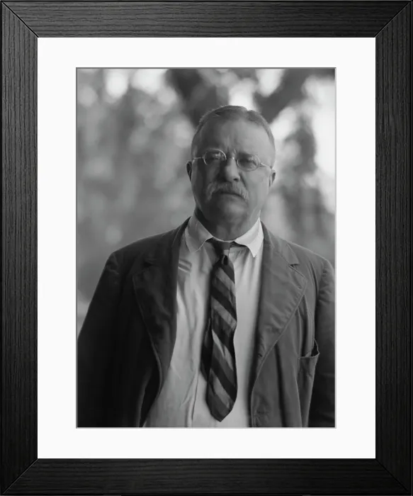 Framed Print : Roosevelt, Theodore, portrait photograph, 1916 Sept. 8. Creator: Arnold Genthe Framed Print : Roosevelt, Theodore, portrait photograph, 1916 Sept. 8. Creator: Arnold Genthe