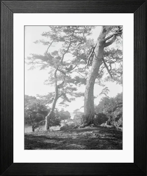 Framed Print : Travel views of Japan and Korea, 1908. Creator: Arnold Genthe