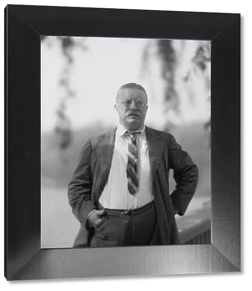 Roosevelt, Theodore, portrait photograph, 1916 Sept. 8. Creator: Arnold Genthe