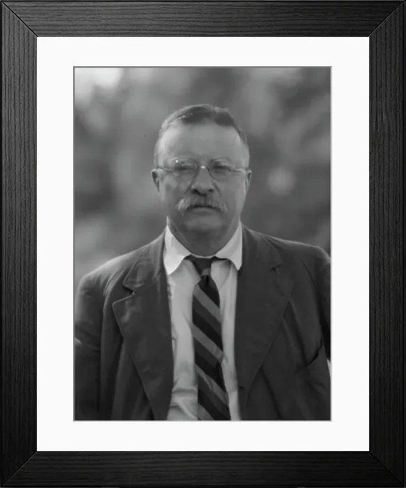Framed Print : Roosevelt, Theodore, portrait photograph, 1916 Sept. 8. Creator: Arnold Genthe Framed Print : Roosevelt, Theodore, portrait photograph, 1916 Sept. 8. Creator: Arnold Genthe