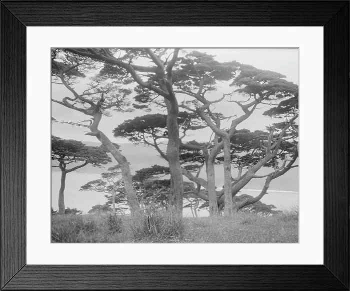 Framed Print : Travel views of Japan and Korea, 1908. Creator: Arnold Genthe Framed Print : Travel views of Japan and Korea, 1908. Creator: Arnold Genthe
