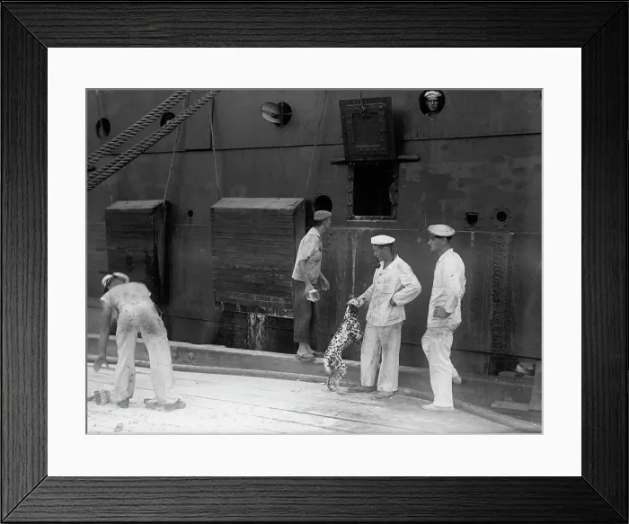 Framed Print : German Sailors Interned in U.S. 1917. Creator: Harris & Ewing. German Sailors Interned in U.S. 1917. Creator: Harris & Ewing Framed Print : German Sailors Interned in U.S. 1917. Creator: Harris & Ewing. German Sailors Interned in U.S. 1917. Creator: Harris & Ewing