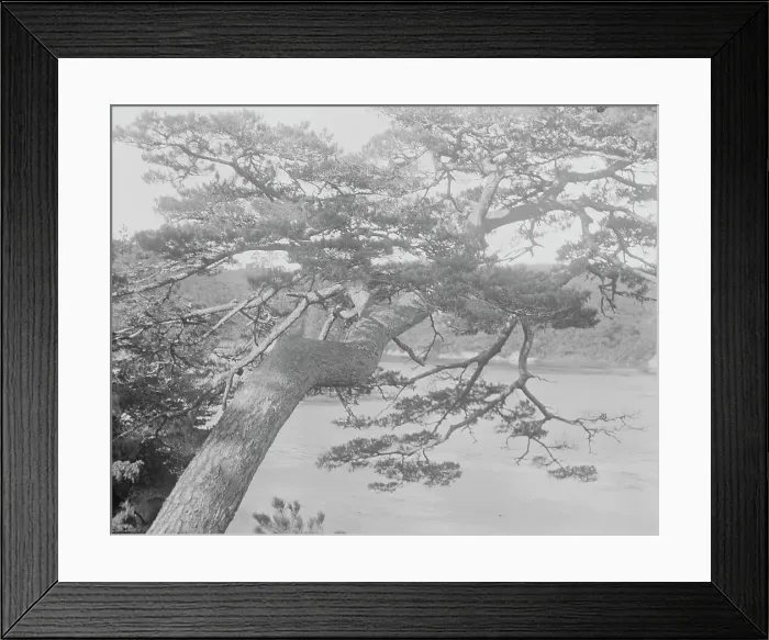 Framed Print : Travel views of Japan and Korea, 1908. Creator: Arnold Genthe Framed Print : Travel views of Japan and Korea, 1908. Creator: Arnold Genthe