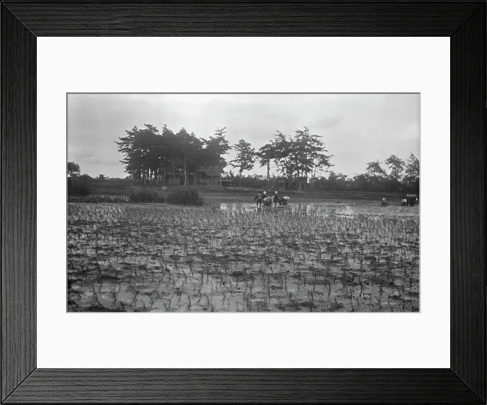 Framed Print : Travel views of Japan and Korea, 1908. Creator: Arnold Genthe Framed Print : Travel views of Japan and Korea, 1908. Creator: Arnold Genthe