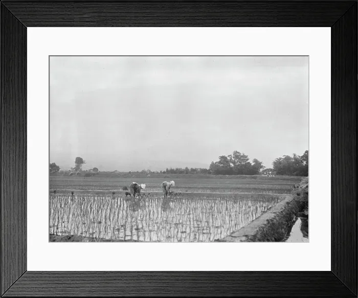 Framed Print : Travel views of Japan and Korea, 1908. Creator: Arnold Genthe Framed Print : Travel views of Japan and Korea, 1908. Creator: Arnold Genthe