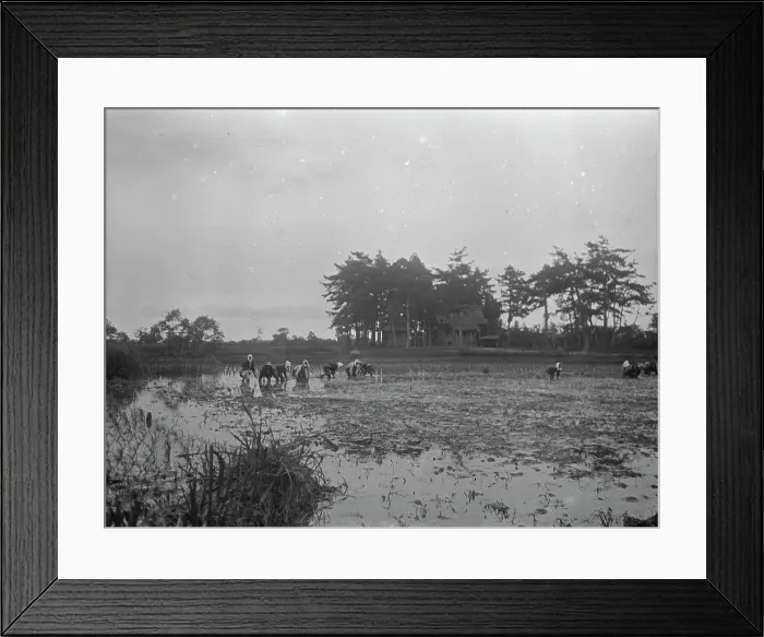 Framed Print : Travel views of Japan and Korea, 1908. Creator: Arnold Genthe