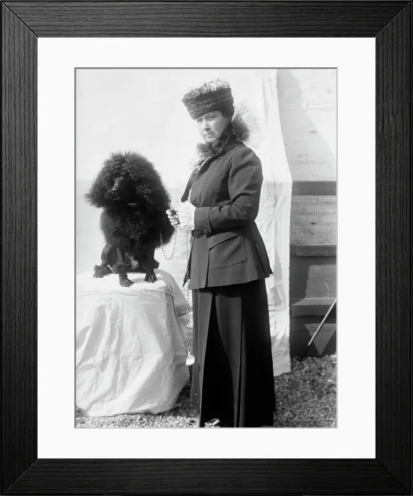 Framed Print : Mrs Goff - Dog Show, 1915. Creator: Harris & Ewing. Mrs Goff - Dog Show, 1915. Creator: Harris & Ewing Framed Print : Mrs Goff - Dog Show, 1915. Creator: Harris & Ewing. Mrs Goff - Dog Show, 1915. Creator: Harris & Ewing
