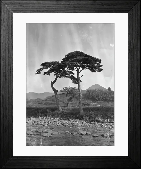 Framed Print : Travel views of Japan and Korea, 1908. Creator: Arnold Genthe Framed Print : Travel views of Japan and Korea, 1908. Creator: Arnold Genthe