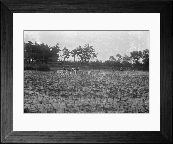 Framed Print : Travel views of Japan and Korea, 1908. Creator: Arnold Genthe Framed Print : Travel views of Japan and Korea, 1908. Creator: Arnold Genthe